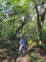 Thumbnail of pic_WaiG_005.jpg