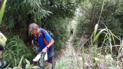 Thumbnail of pic_CW_Ho_032.jpg