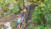 Thumbnail of pic_Derek_Wong_007.jpg