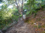 Thumbnail of pic_LK_Cheung_013.jpg