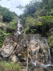 Thumbnail of pic_TB_Tung_010.jpg