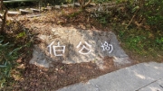 pic_Derek_Wong_029.jpg (505296 bytes)