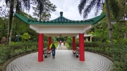 Thumbnail of pic_Derek_Wong_001.jpg