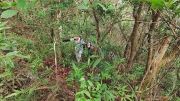 Thumbnail of pic_Derek_Wong_006.jpg