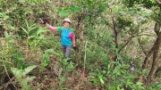 Thumbnail of pic_Derek_Wong_010.jpg