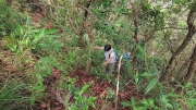 Thumbnail of pic_Derek_Wong_011.jpg