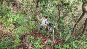 Thumbnail of pic_Derek_Wong_012.jpg