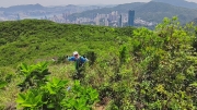 Thumbnail of pic_Derek_Wong_030.jpg