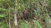 Thumbnail of pic_Derek_Wong_053.jpg