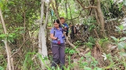 Thumbnail of pic_Derek_Wong_066.jpg