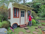 Thumbnail of pic_KK_Lau_001.jpg