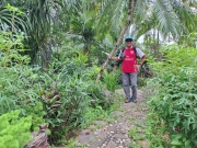 Thumbnail of pic_KK_Lau_002.jpg